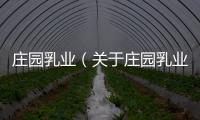 莊園乳業（關于莊園乳業的基本情況說明介紹）