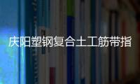 慶陽塑鋼復合土工筋帶指標