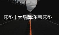 床墊十大品牌:東寶床墊呵護您的腰椎健康