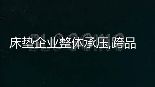 床墊企業整體承壓,跨品類運營加速
