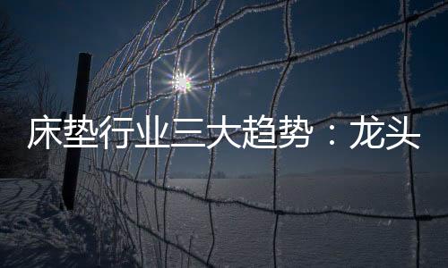 床墊行業三大趨勢：龍頭之爭白熱化、全渠道布局、多練內功