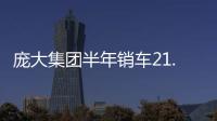 龐大集團半年銷車21.66萬 持續(xù)下注汽車超市