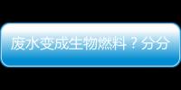 廢水變成生物燃料？分分鐘的事兒！ – 材料牛