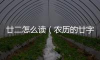 廿二怎么讀（農(nóng)歷的廿字怎么讀）