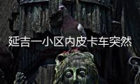 延吉一小區內皮卡車突然起火 消防官兵及時化解險情