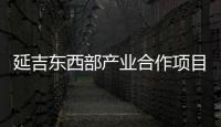 延吉東西部產(chǎn)業(yè)合作項(xiàng)目和兩個(gè)援建產(chǎn)業(yè)項(xiàng)目復(fù)工