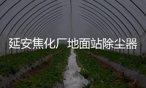 延安焦化廠地面站除塵器焦化廠專用除塵設備