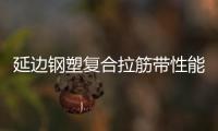延邊鋼塑復(fù)合拉筋帶性能說明