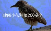 建甌小伙種植200多個多肉品種近一萬株