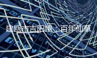 建甌市吉陽鎮：百年仙草凍 清香爽口人人愛