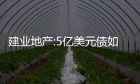 建業(yè)地產(chǎn):5億美元債如期償還 年內(nèi)再無到期美元債