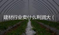 建材行業賣什么利潤大（建材市場未來5年的前景）