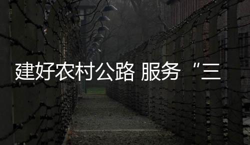 建好農(nóng)村公路 服務(wù)“三農(nóng)”發(fā)展