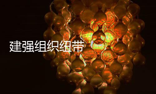 建強組織紐帶 聚合攻堅力量