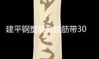 建平鋼塑復合拉筋帶30020B電話