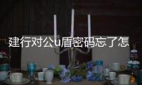 建行對(duì)公u盾密碼忘了怎么辦（u盾密碼忘了怎么辦）