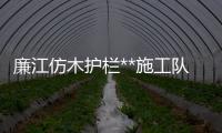 廉江仿木護(hù)欄**施工隊(duì)