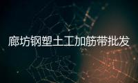 廊坊鋼塑土工加筋帶批發(fā)價格