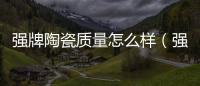 強牌陶瓷質量怎么樣（強牌陶瓷）