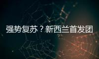 強勢復蘇？新西蘭首發團26000元1分鐘售罄 終于等來了！