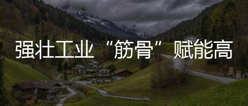 強壯工業“筋骨”賦能高質量發展