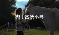 弼！微信小號