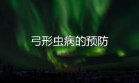 弓形蟲病的預防