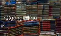 弓(ɡōnɡ)國(ɡuó)脖(bó)這又是什么梗?