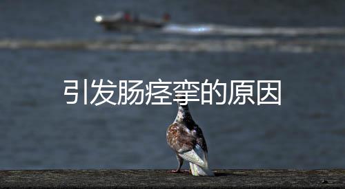 引發腸痙攣的原因