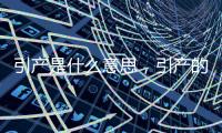 引產是什么意思，引產的流程和注意事項