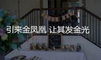 引來金鳳凰 讓其發金光