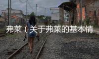 弗萊（關于弗萊的基本情況說明介紹）