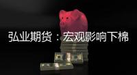 弘業期貨：宏觀影響下棉價波幅加大，后期仍有上漲動力