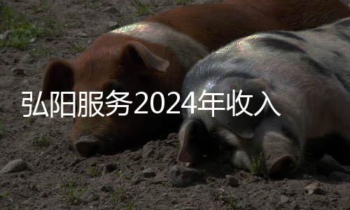 弘陽服務2024年收入10.27億元，凈利同比增加6.3%