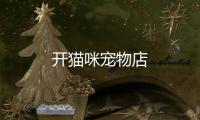 開(kāi)貓咪寵物店