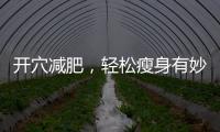 開穴減肥，輕松瘦身有妙招！