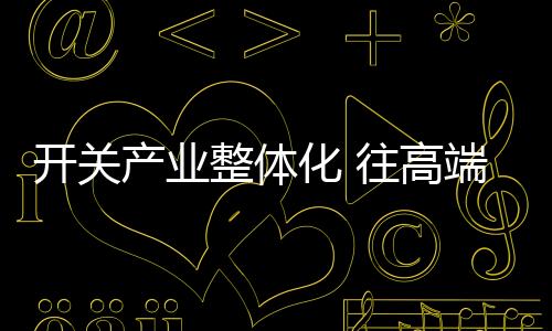 開關產業整體化 往高端市場發展