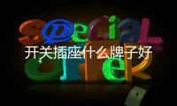 開關(guān)插座什么牌子好