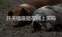開關(guān)插座能在網(wǎng)上買嗎