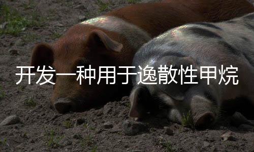 開發(fā)一種用于逸散性甲烷排放量化檢測的氣體傳感器