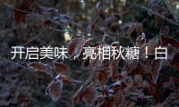 開啟美味，亮相秋糖！白老大“香”遍現(xiàn)場！