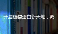 開啟植物蛋白新天地，鴻博復合蛋白飲品帶你賺大錢！