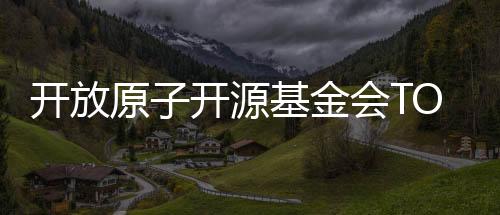 開放原子開源基金會TOC（技術(shù)監(jiān)督委員會）第八十次全體會議