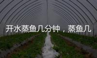 開水蒸魚幾分鐘，蒸魚幾分鐘