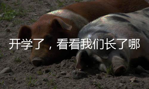 開學了，看看我們長了哪些新本事！