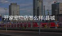 開家寵物店怎么樣(縣城開寵物店怎么樣)