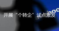 開(kāi)展“個(gè)轉(zhuǎn)企”試點(diǎn)激發(fā)市場(chǎng)活力