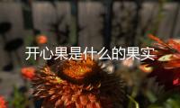 開心果是什么的果實