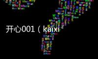 開心001（kaixin001）