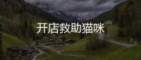開店救助貓咪